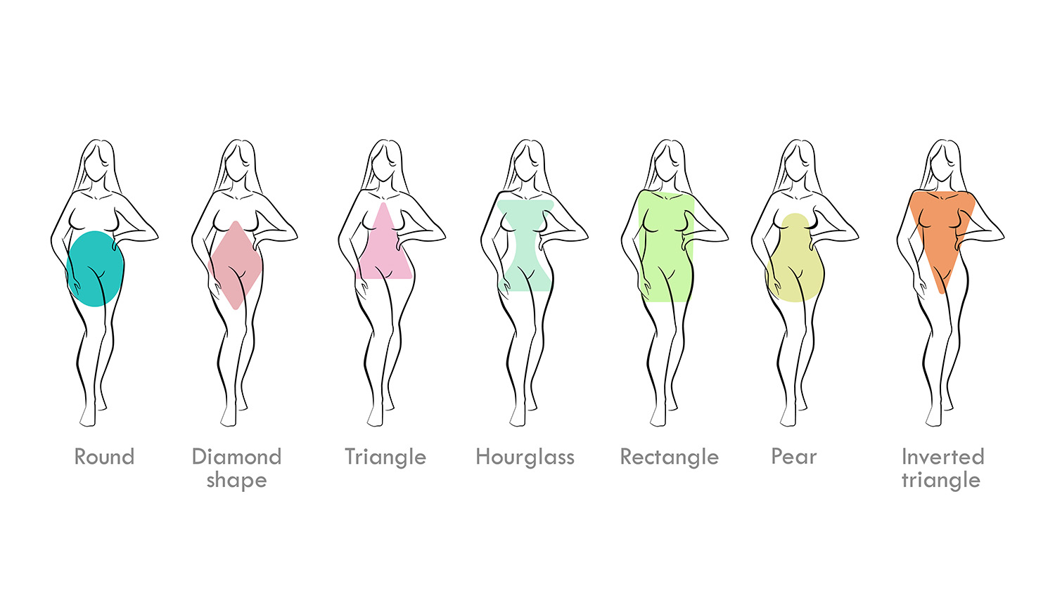 קולאז ' סוגי מבני גוף של נשים
